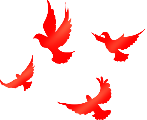 c7f295d24d9e491283c81d40f9ae3d22