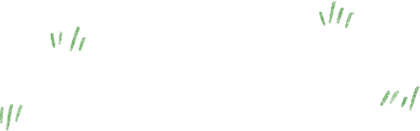 ec2e8ccac9cf46c990fa127c87cdc336